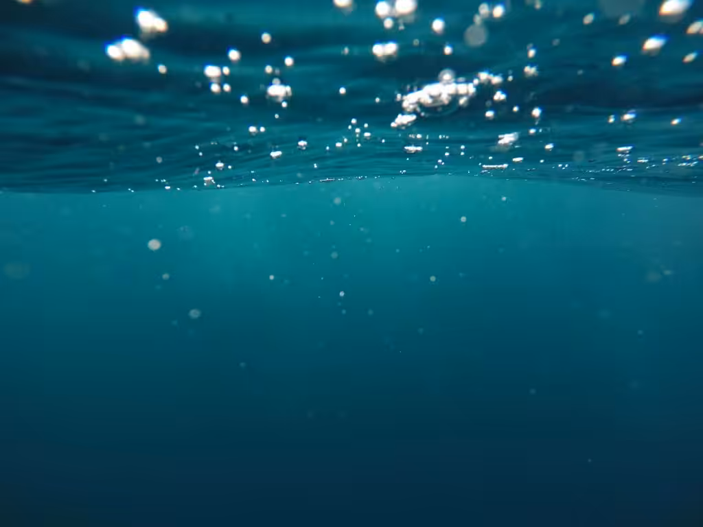 A picture of the blue ocean.